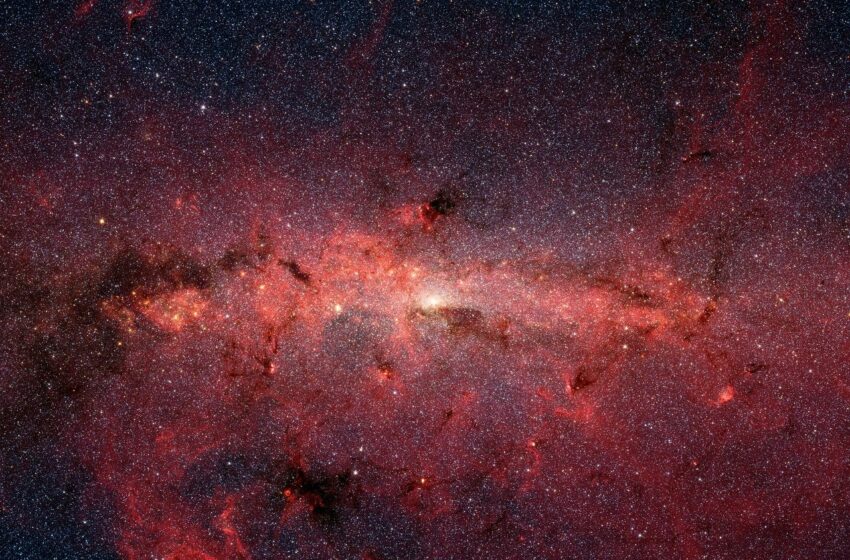 Le 5(+1) scoperte scientifiche del 2020 più interessanti secondo Datamagazine.it