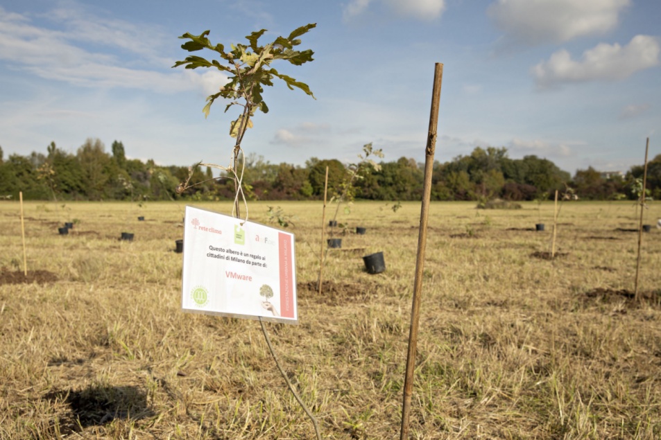  VMware presenta la sua “Foresta”