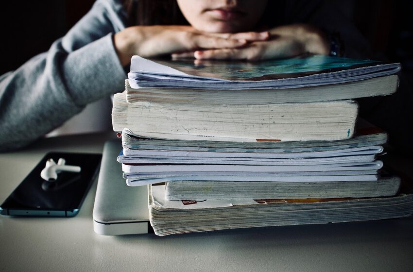 Sostenibilità e innovazione come nuove materie scolastiche