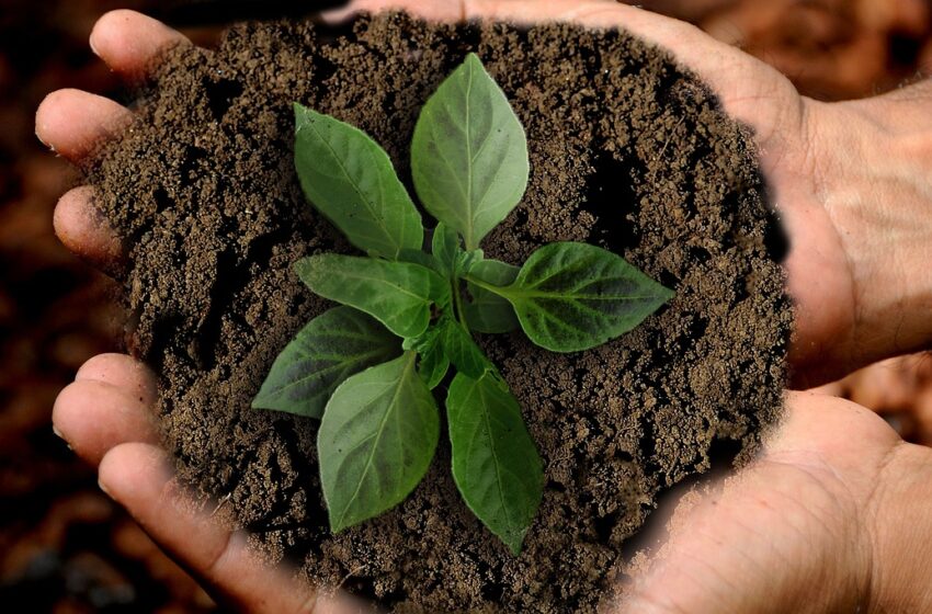 Earth Day: Cibo per Nutrire il Pianeta Terra