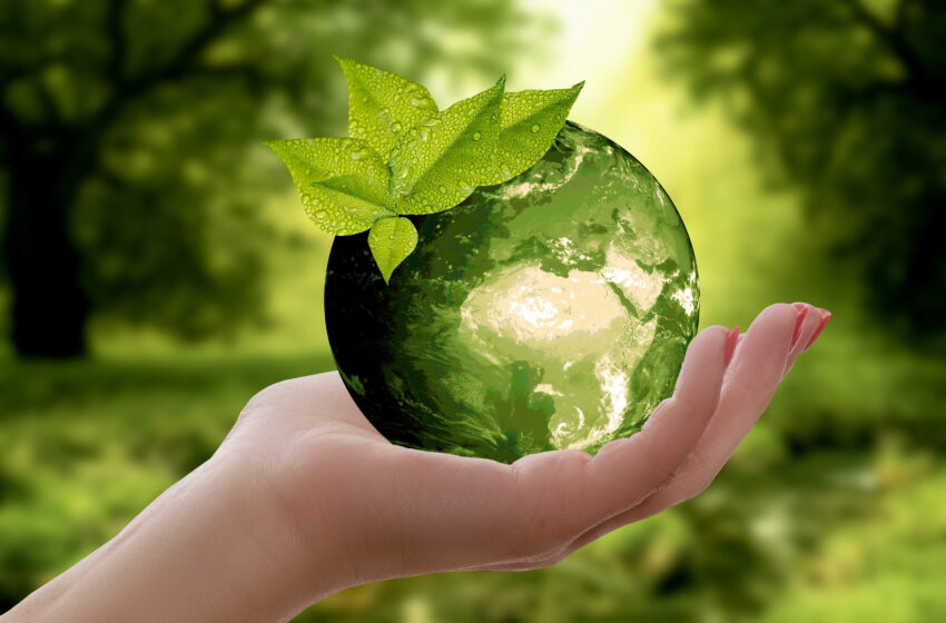  Sostenibilità ambientale: la svolta delle aziende