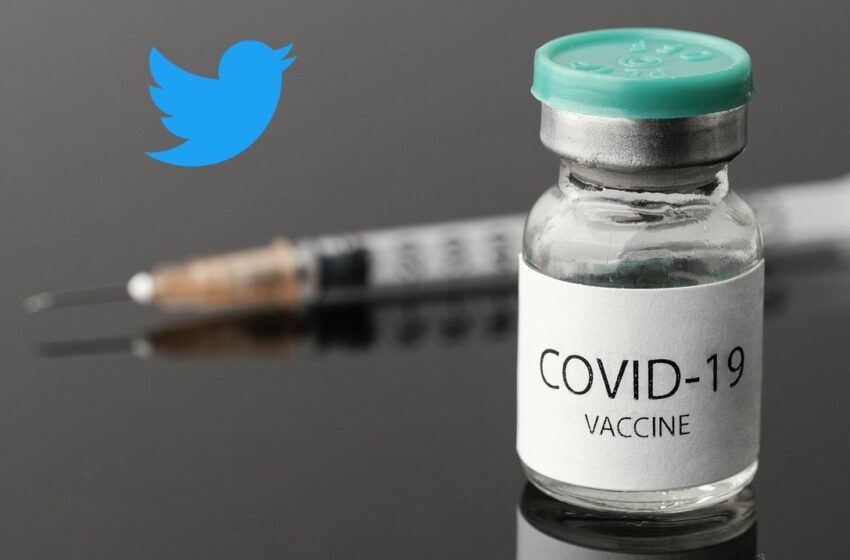 Twitter e Ministero della Salute per fornire informazioni accurate sui vaccini