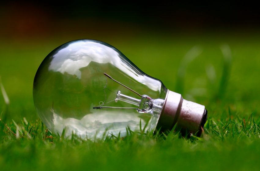 Sostenibilità e innovazione con GreenCoding e Act for the Future