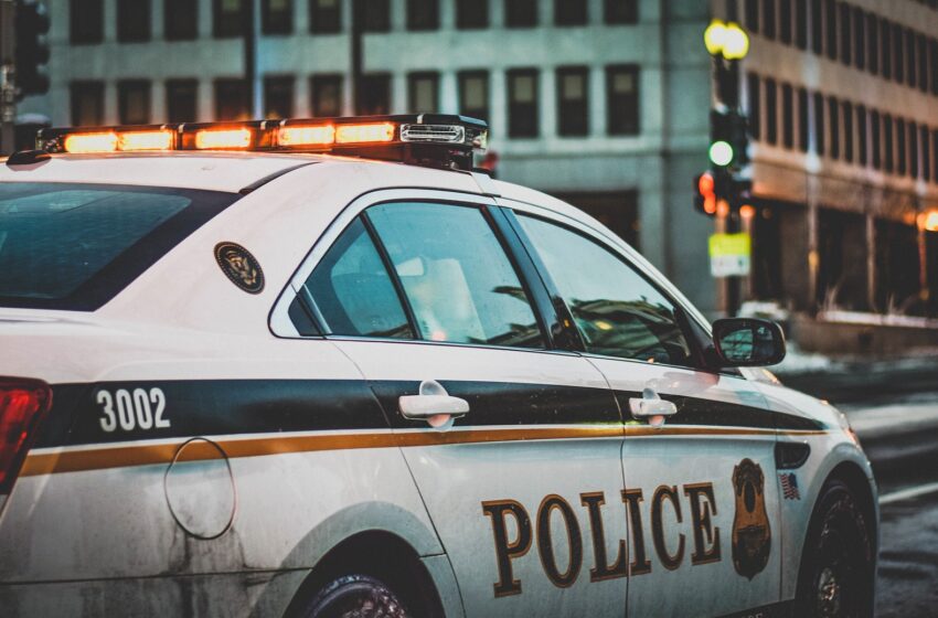 Amped: la software house italiana che affianca la polizia americana nelle indagini