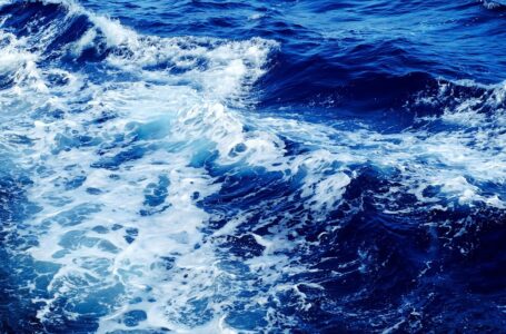 MareDireFare un festival dedicato al “grande blu” per celebrare l’avvio del Decennio degli Oceani