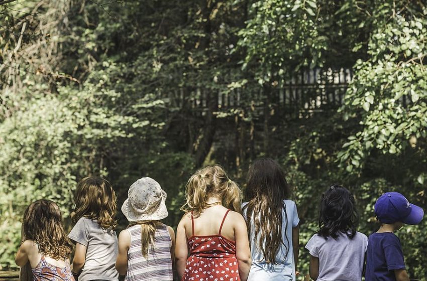  RiGenerazione Scuola, il mondo dell’istruzione punta sulla transizione ecologica