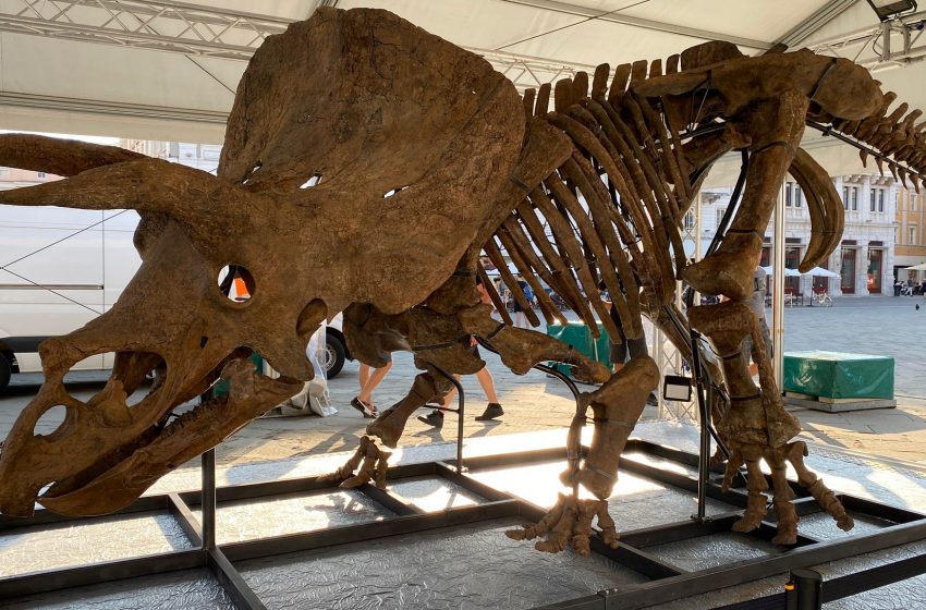 Big John torna “in vita” grazie alla stampa 3D