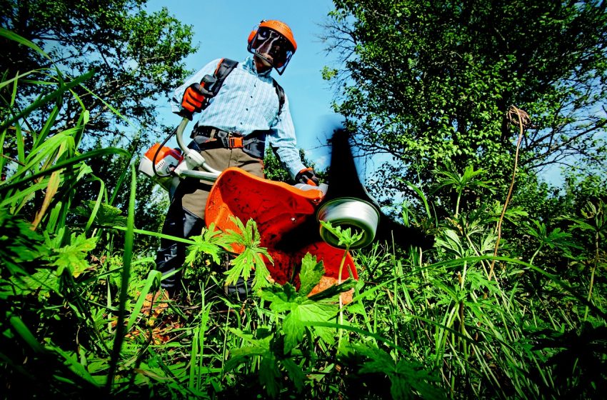 Italiani passione outdoor e giardinaggio: gli acquisti crescono sui marketplace online