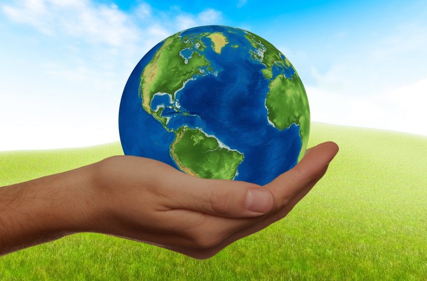 AWorld: l’app italiana che coinvolge le aziende sulla sostenibilità