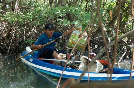 Startup: Ogyre la piattaforma che pulisce gli oceani