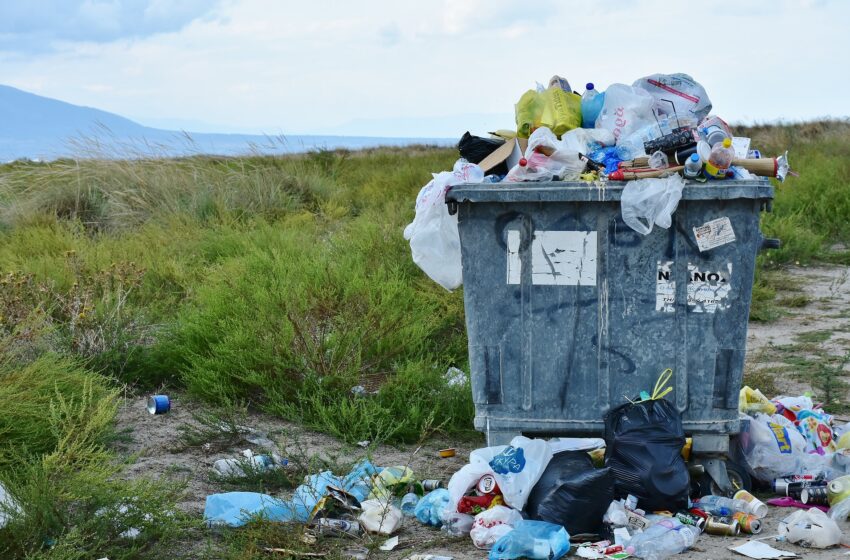  Batteri per produrre materiali dai rifiuti: da Napoli parte la rivoluzione