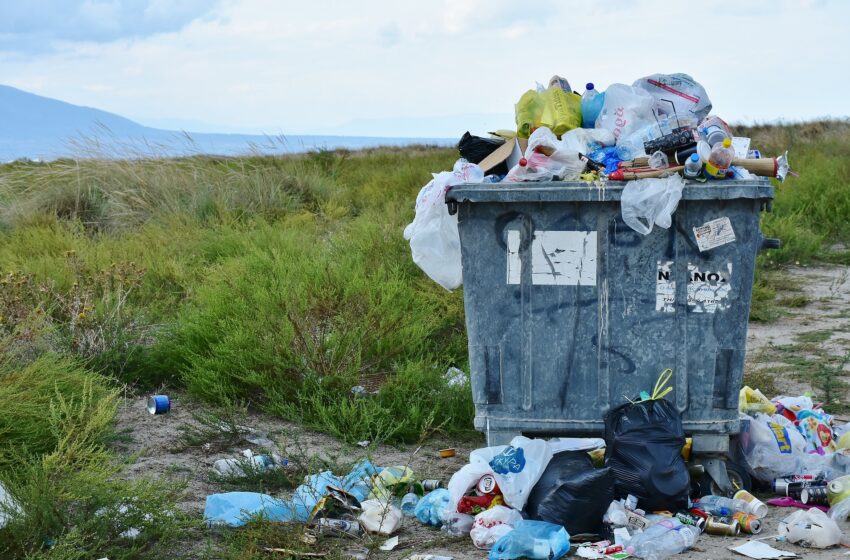 Batteri per produrre materiali dai rifiuti: da Napoli parte la rivoluzione