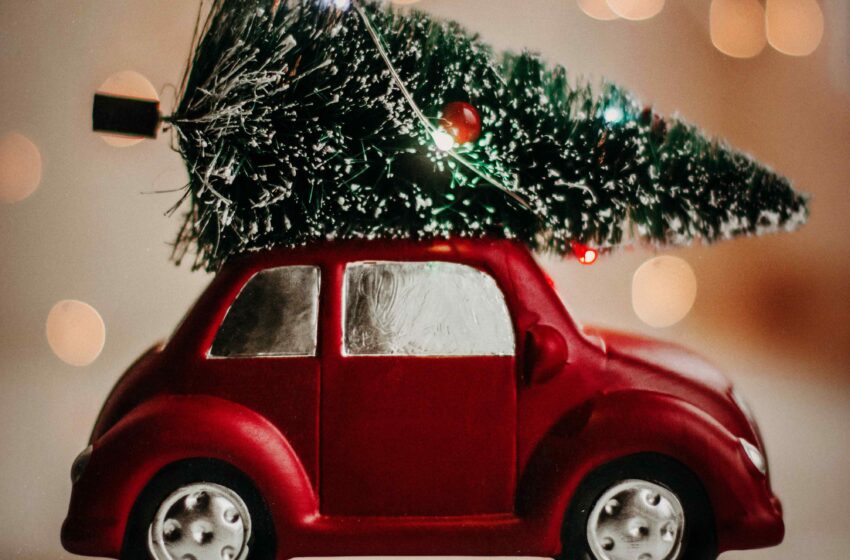Festività all’insegna del green: 4 mete per un Natale e un Capodanno sostenibili