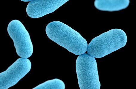 Dai laboratori BIOlogic i materiali vengono creati dai batteri
