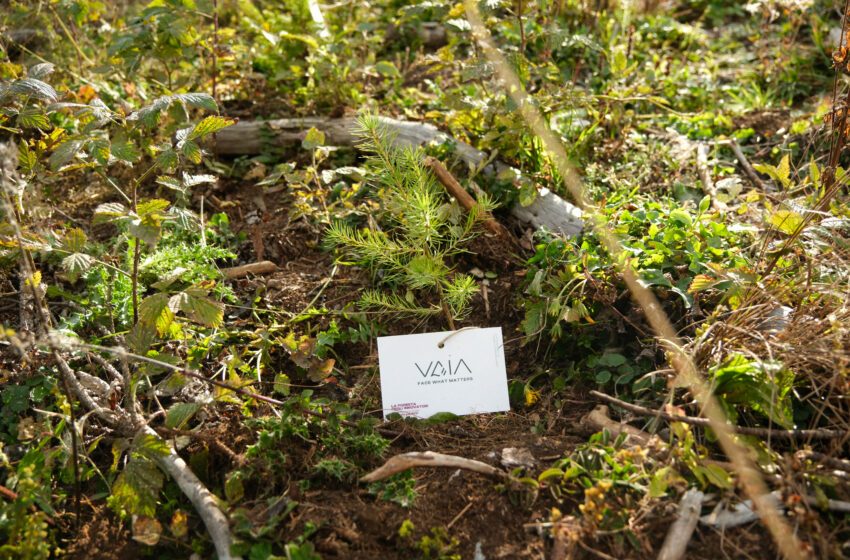  La Foresta degli Innovatori, un nuovo luogo, che sappia ispirare