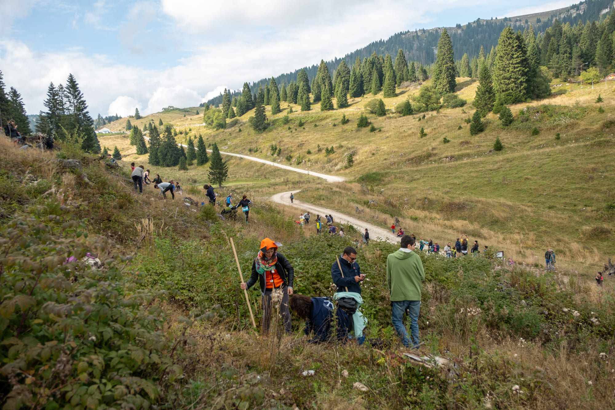 La Foresta degli Innovatori