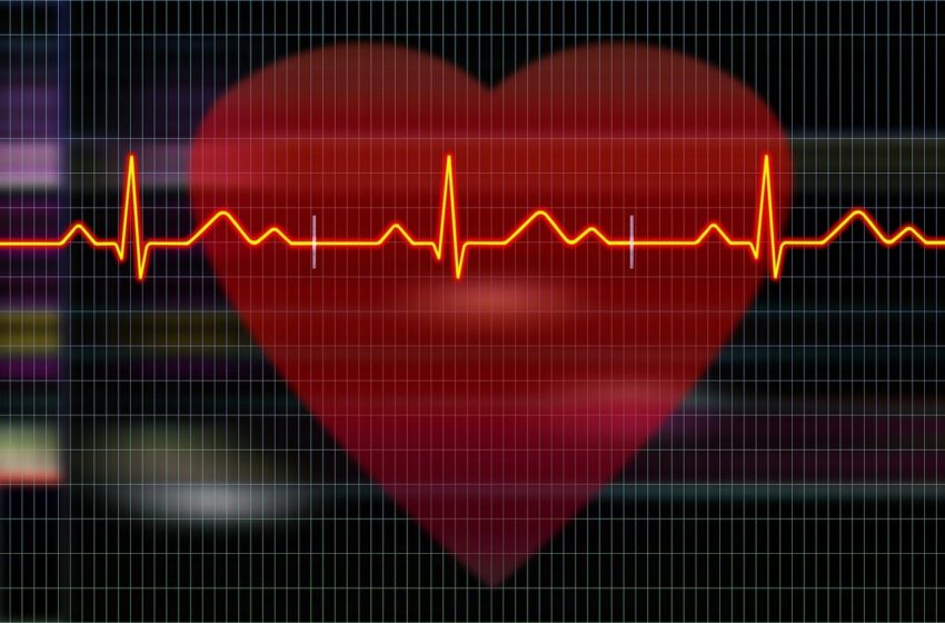  Rivoluzione in cardiologia interventistica grazie all’intelligenza artificiale