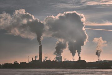 Consumo delle risorse naturali e i modelli economici sostenibili