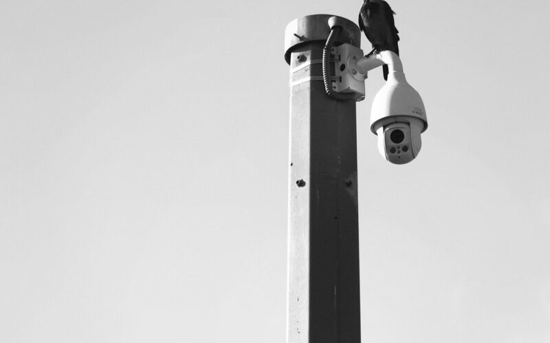 IA e videosorveglianza, un’accoppiata vincente