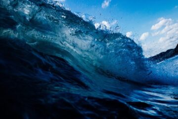 Stoccaggio CO2 in mare e tutela degli ecosistemi marini