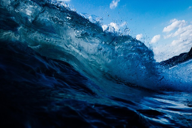 Stoccaggio CO2 in mare e tutela degli ecosistemi marini
