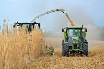 Biocarburanti: emissioni di CO2 +16% rispetto a quelli fossili