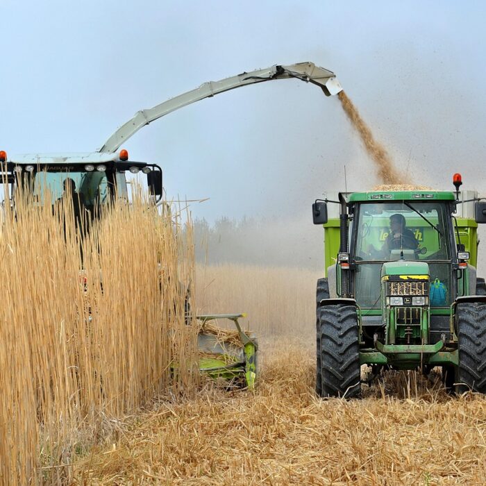 Biocarburanti: emissioni di CO2 +16% rispetto a quelli fossili