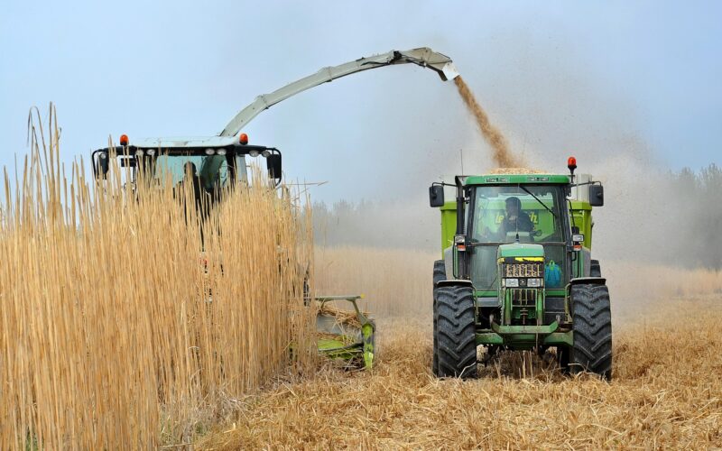 Biocarburanti: emissioni di CO2 +16% rispetto a quelli fossili
