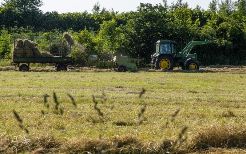 Industria agroalimentare: crescono le opportunità per professionisti qualificati